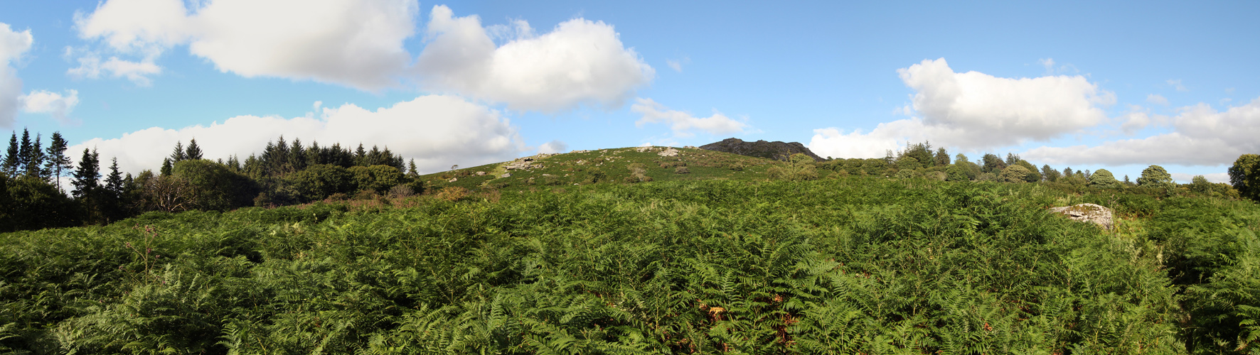 Panorama 7.JPG